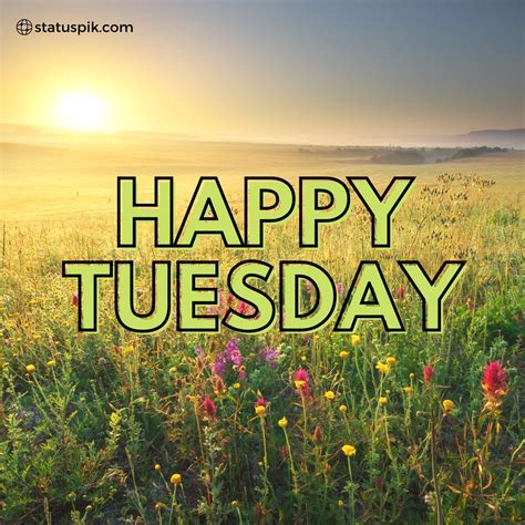 happy tuesday images